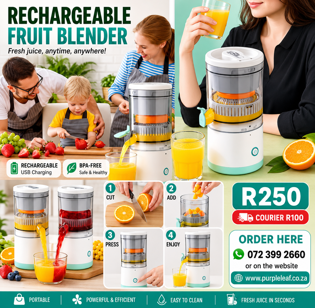 Rechargeable Fruit Blender